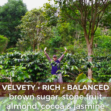 Java Bondowoso Dawuhan Honey